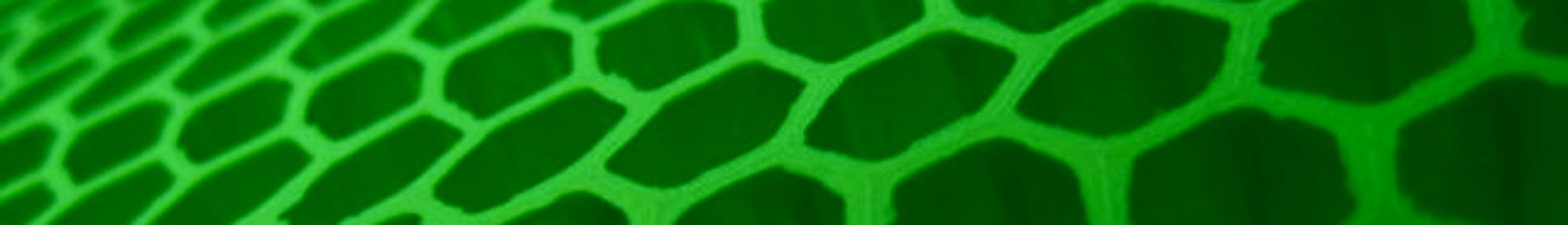 Orange to Green